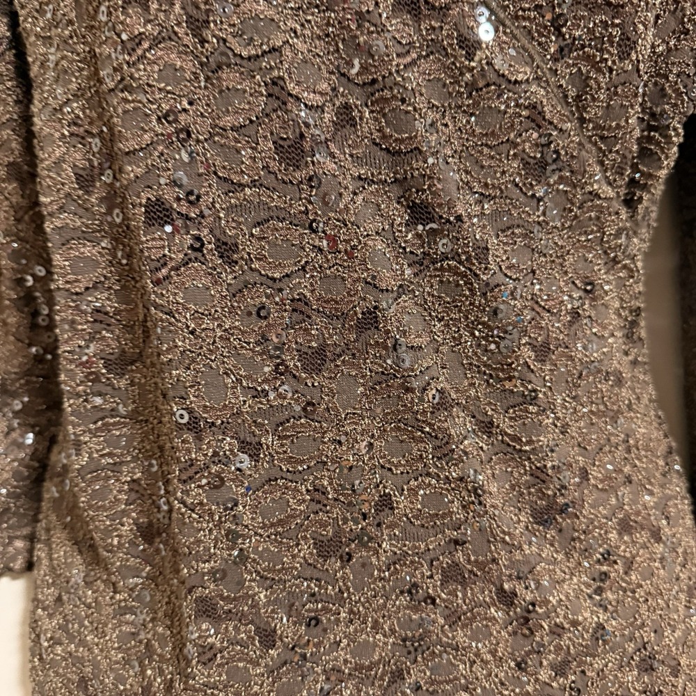 Joseph Ribkoff Blouse SZ 8 Quiet Luxury Glam Evening stretch Shimmery Fairy - Picture 5 of 8